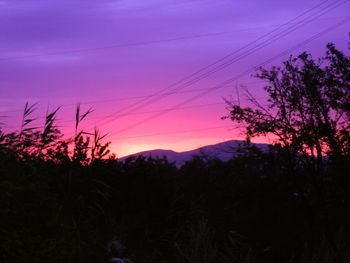 Silhouette of trees at sunset