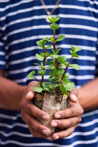 Midsection of woman holding potted plant