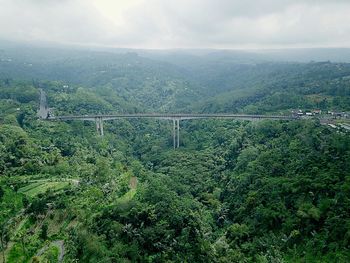 Scenic view of green landscape against sky