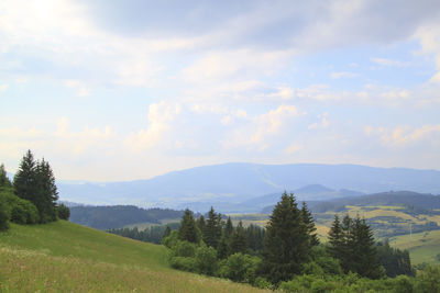 Scenic view of landscape against sky