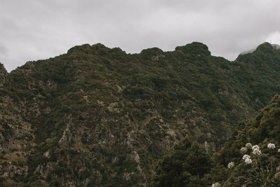 Low angle view of mountain against sky