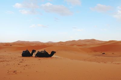 Scenic view of desert