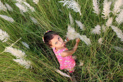 High angle view of girl in grass