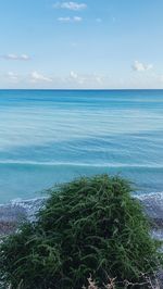 sea