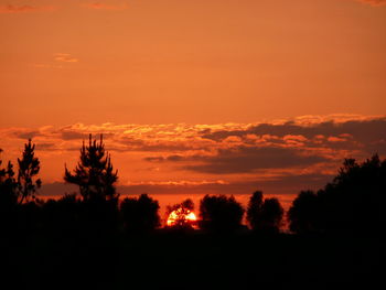 Silhouette trees against orange sky