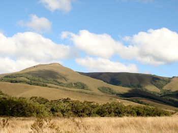 Scenic view of landscape against clear sky