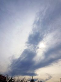 Low angle view of trees against sky