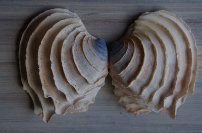 High angle view of dessert on table