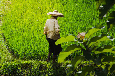 High angle view farmer walking in farm