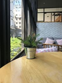 Potted plants on table by window in building