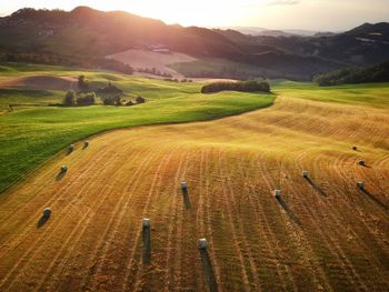 Scenic view of agricultural field against sky