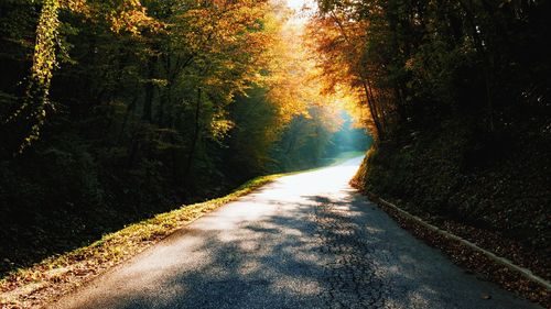 Road amidst trees in forest during autumn