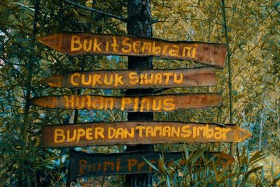 Low angle view of information sign at forest