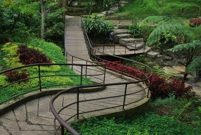 High angle view of empty footpath amidst plants in park