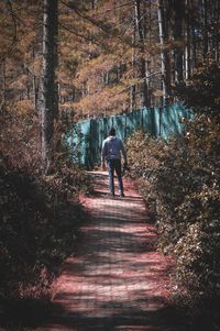 Rear view of man walking on footpath in forest
