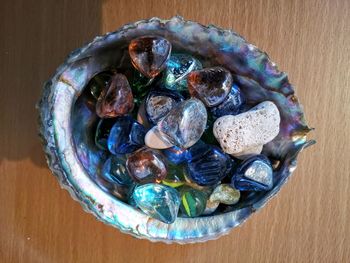 High angle view of shells in bowl on table