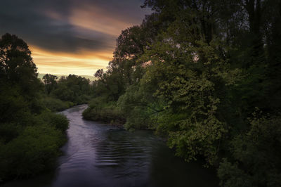 Scenic view of river amidst trees in forest against sky