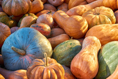 Full frame shot of pumpkins