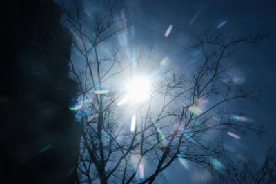 Low angle view of sunlight streaming through bare tree