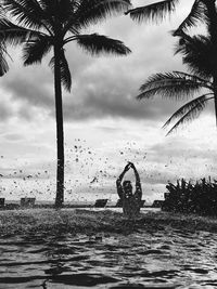 Silhouette birds on beach against sky during sunset