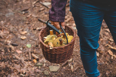 Woman in outdoor clothing holds a basket full of mushrooms