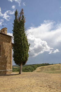 Trees on field against sky