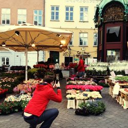 Potted plants in market