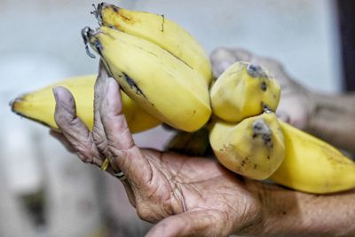 Close-up of hand holding fruit