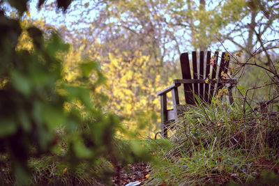 Chair on field against trees