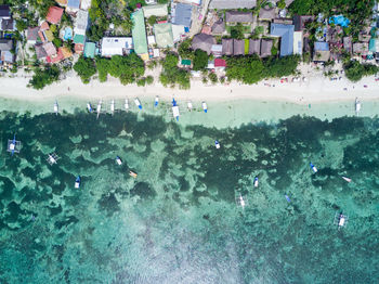High angle view of birds in water