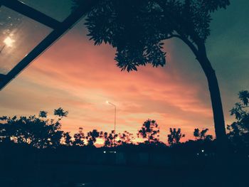 Silhouette trees against sky during sunset