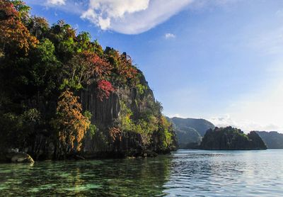 Scenic view of lake by trees against sky