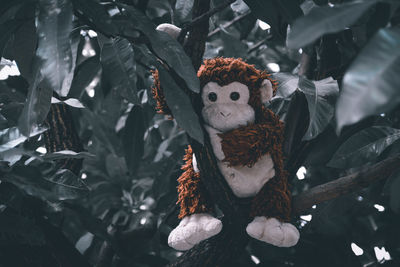 A stuffed monkey laying down on a branch of a mango tree