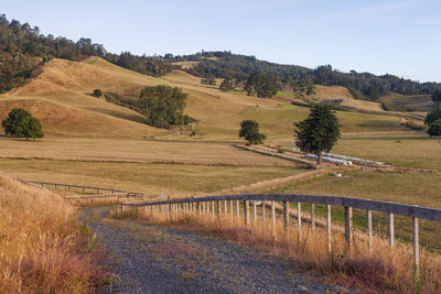 Scenic view of field against clear sky