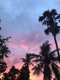 Low angle view of silhouette palm trees against romantic sky