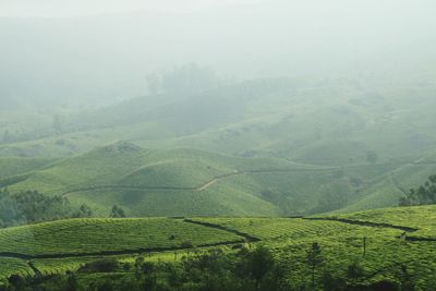Scenic view of agricultural field