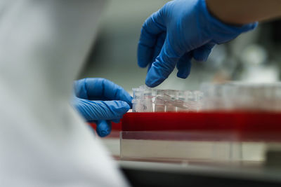 Midsection of scientist examining chemicals at laboratory