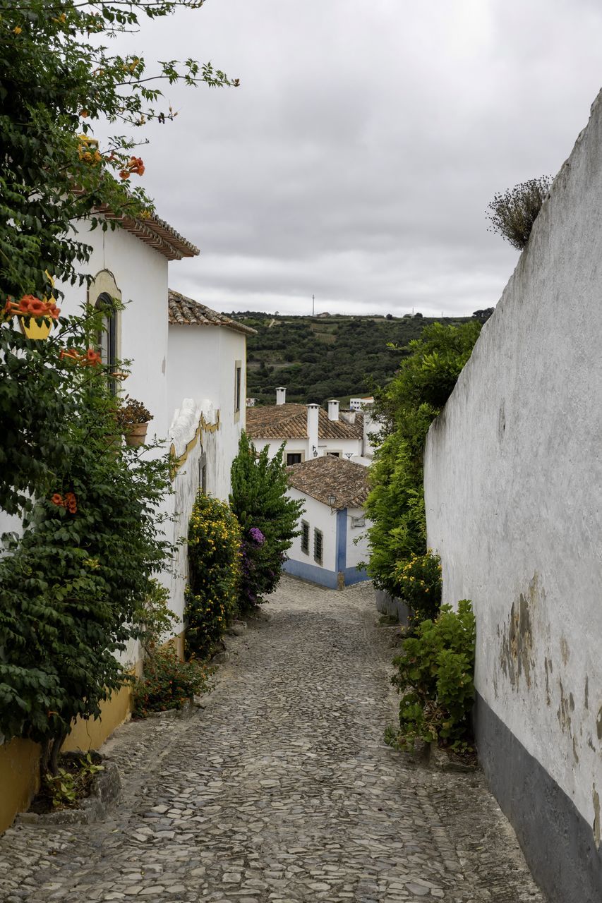 FOOTPATH AMIDST BUILDINGS AND HOUSES AGAINST SKY