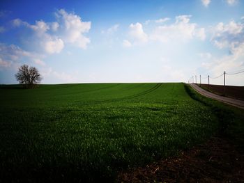 Scenic view of field against sky