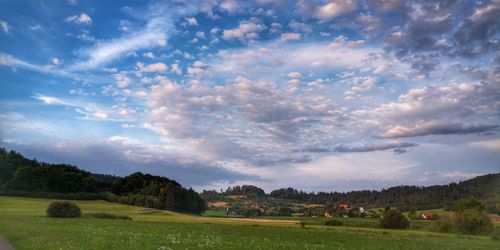 Scenic view of field against sky
