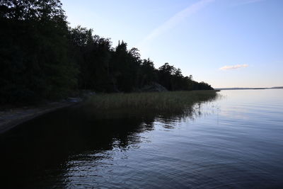 Scenic view of lake in forest against sky