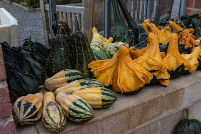 Close-up of pumpkins outdoors