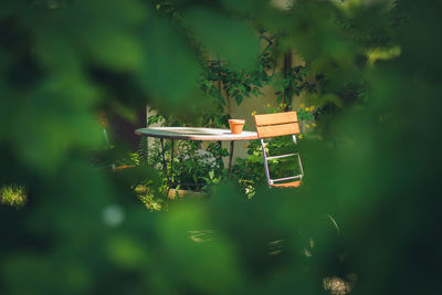 Gazebo in park