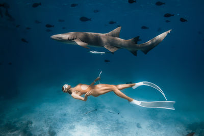 Man swimming in sea