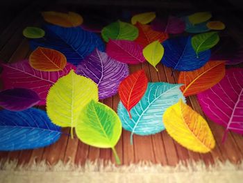 Close-up of colorful leaves