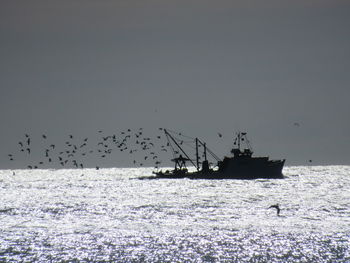 Silhouette birds flying over sea against clear sky