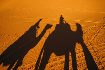 Shadow of people on sand