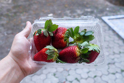 Close-up of hand holding strawberries