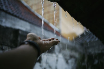 Person holding leaf in water