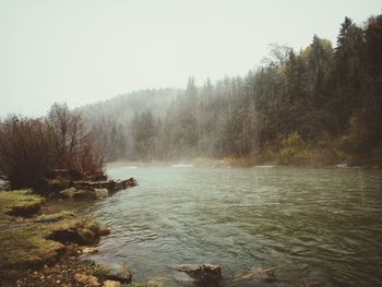 Scenic view of river in forest against clear sky